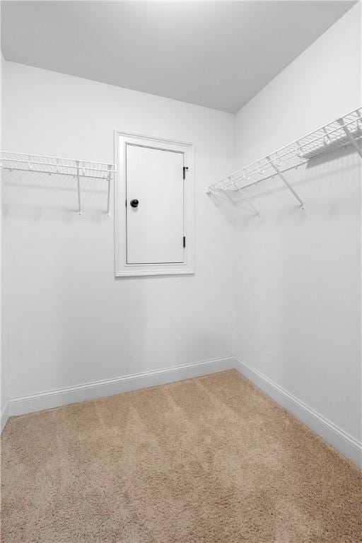197 Westover St, Auburn, AL 36832 - walk in closet with carpet flooring