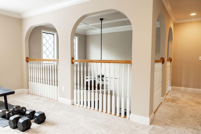 1986 Stephanie Ct Unit Lt64, Auburn, AL 36830 - corridor featuring carpet and ornamental molding