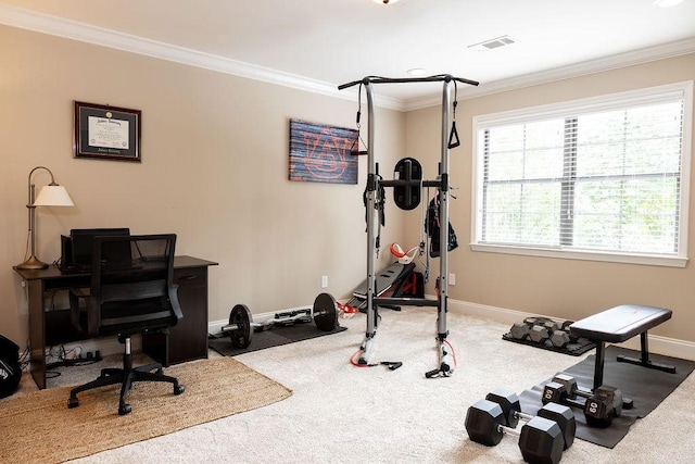 1986 Stephanie Ct Unit Lt64, Auburn, AL 36830 - workout room with carpet flooring and ornamental molding