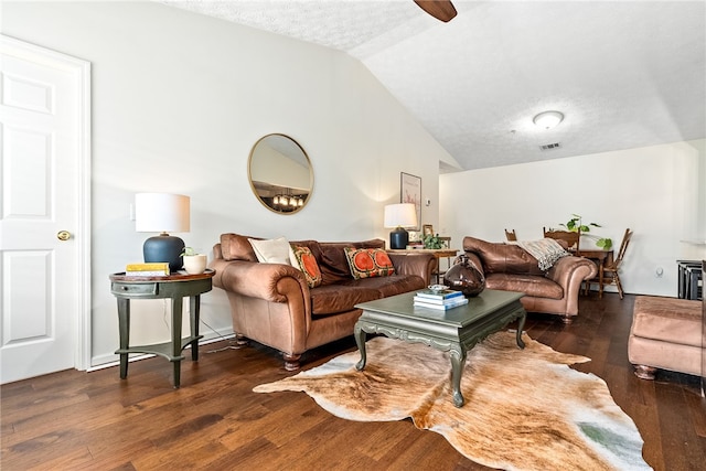 1114 S College St Unit 302, Auburn, AL 36830 - living area featuring a textured ceiling, lofted ceiling, visible vents, and wood finished floors
