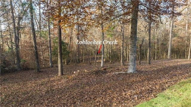 view of yard featuring a forest view