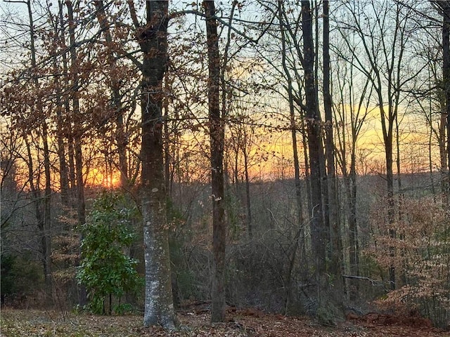 view of local wilderness featuring a wooded view