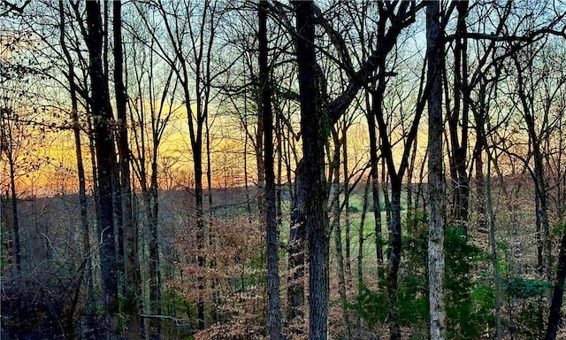view of landscape with a forest view