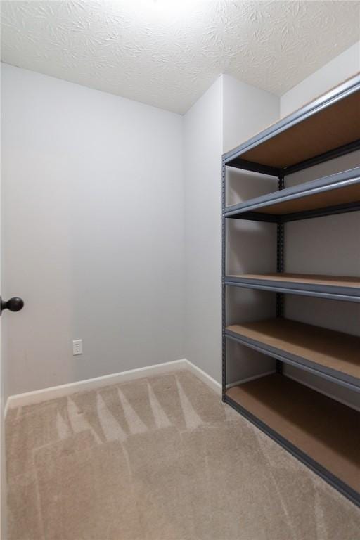 spacious closet with carpet