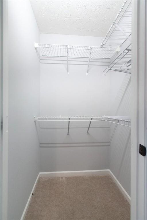 spacious closet with carpet floors