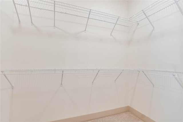 305 Northgate Blvd, Auburn, AL 36830 - view of spacious closet