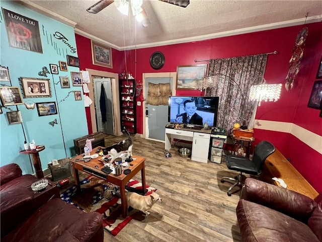 living room featuring a ceiling fan, ornamental molding, wood finished floors, and a textured ceiling