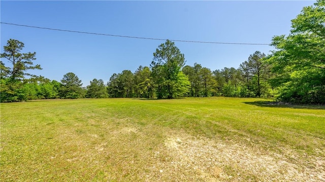 view of yard featuring a forest view