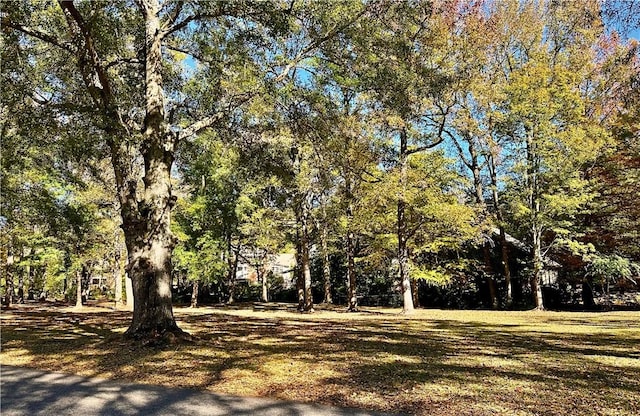 view of nature