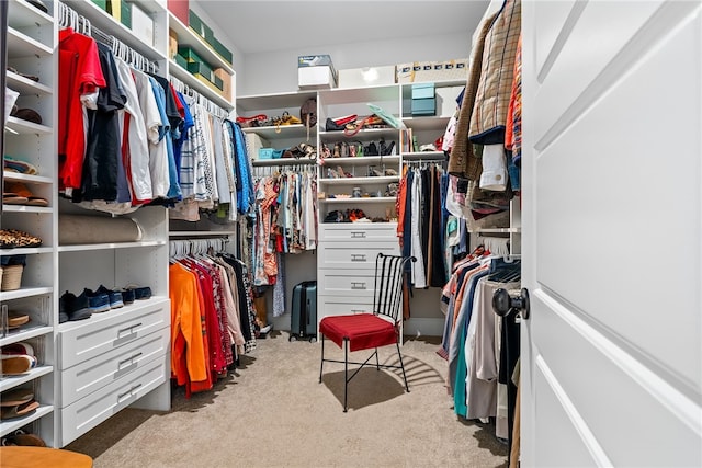 walk in closet featuring carpet flooring