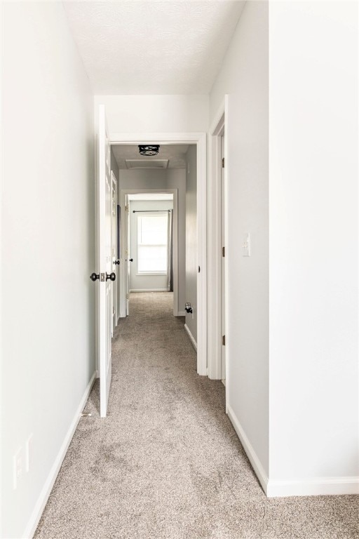 1477 N Donahue Dr N Unit 1602, Auburn, AL 36830 - hallway with light colored carpet and baseboards