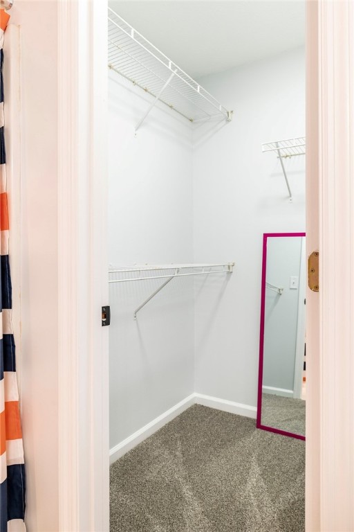1477 N Donahue Dr N Unit 1602, Auburn, AL 36830 - spacious closet featuring carpet