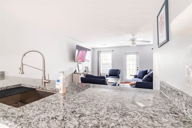 1477 N Donahue Dr N Unit 1602, Auburn, AL 36830 - living area with ceiling fan