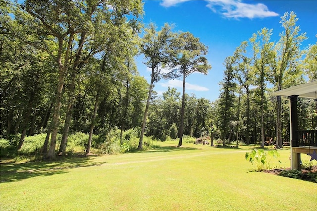 48 Lamb Rd, Opelika, AL 36804 - photo 10