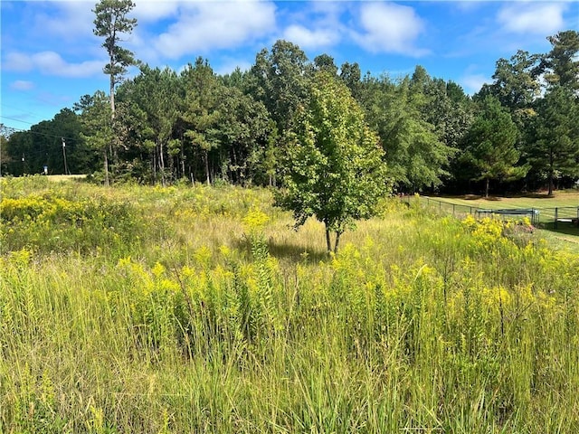 21 Lee Road 2192, Cusseta AL, 36852 land for sale