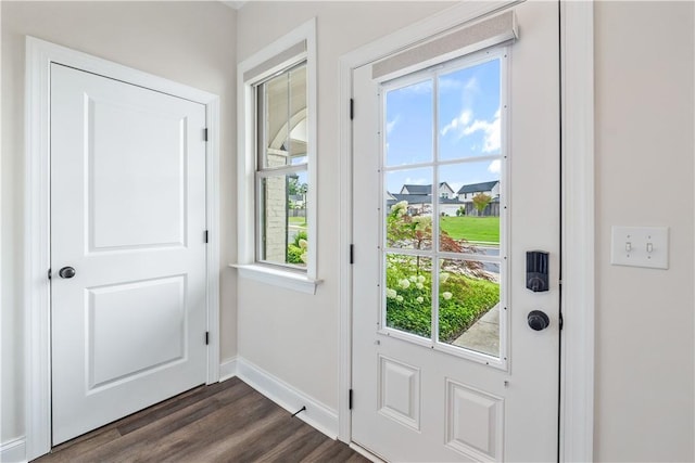 564 Grey Oak Cir, Auburn, AL 36830 - entryway with plenty of natural light and dark wood finished floors