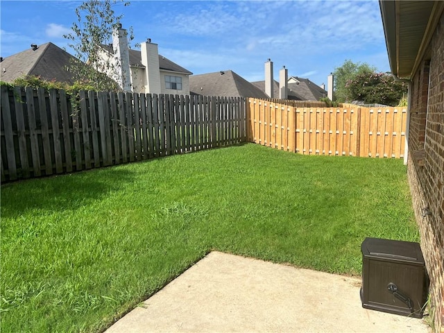 view of yard featuring a patio area