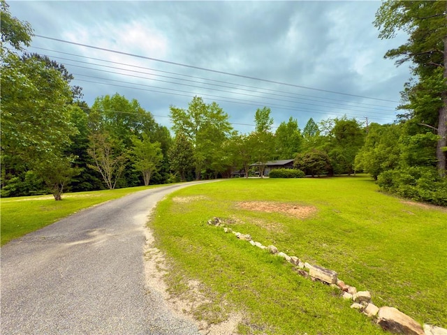 5755 Lee Road 390, Opelika, AL 36804 - view of road