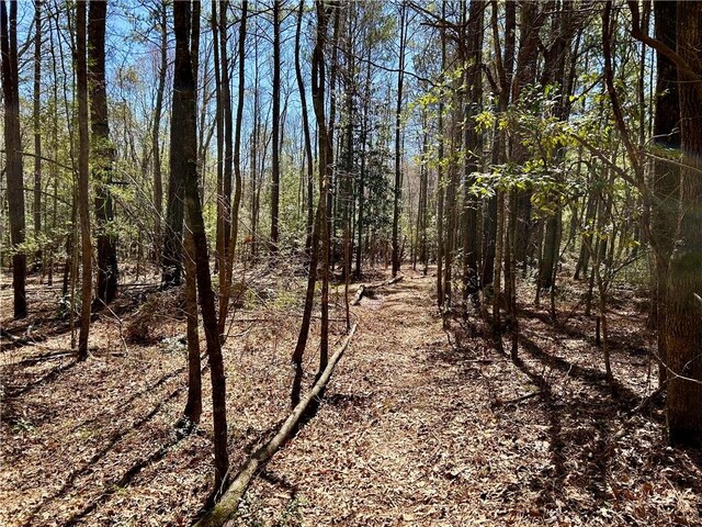 802 County Road 50, Tuskegee, AL 36083 - photo 7
