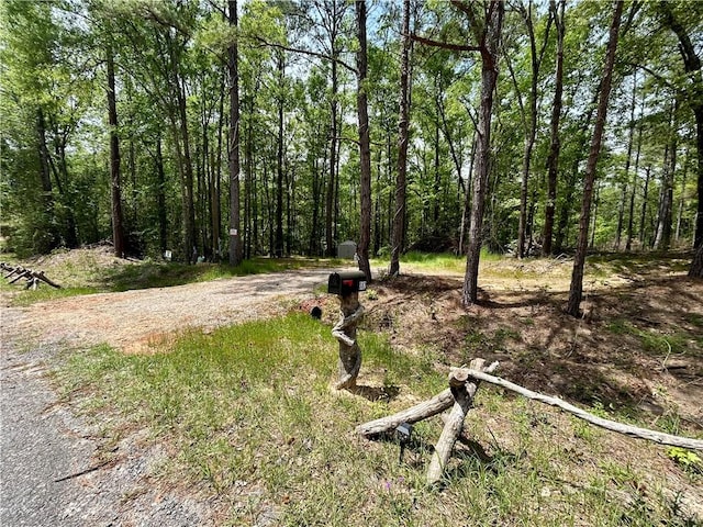 802 County Road 50, Tuskegee, AL 36083 - photo 2