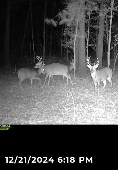 802 County Road 50, Tuskegee, AL 36083 - photo 16