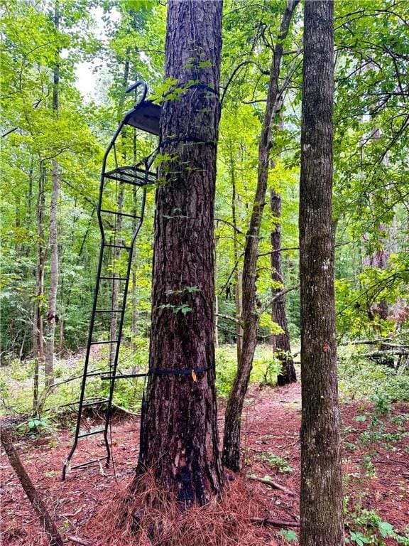 802 County Road 50, Tuskegee, AL 36083 - photo 14