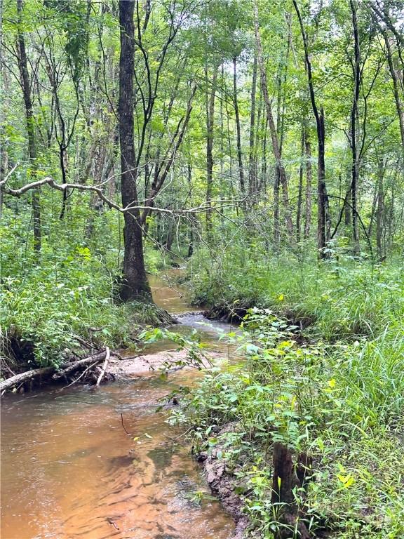 802 County Road 50, Tuskegee, AL 36083 - photo 11