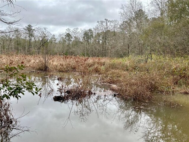 802 County Road 50, Tuskegee, AL 36083 - photo 6
