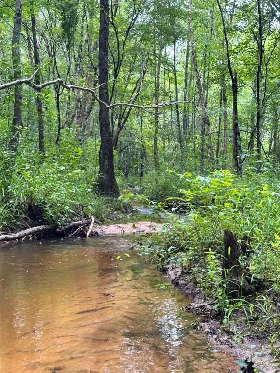 802 County Road 50, Tuskegee, AL 36083 - photo 10