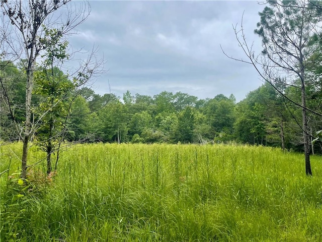 802 County Road 50, Tuskegee, AL 36083 - photo 4