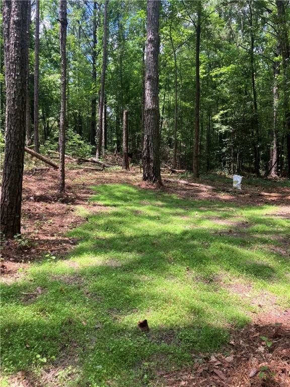 802 County Road 50, Tuskegee, AL 36083 - photo 9