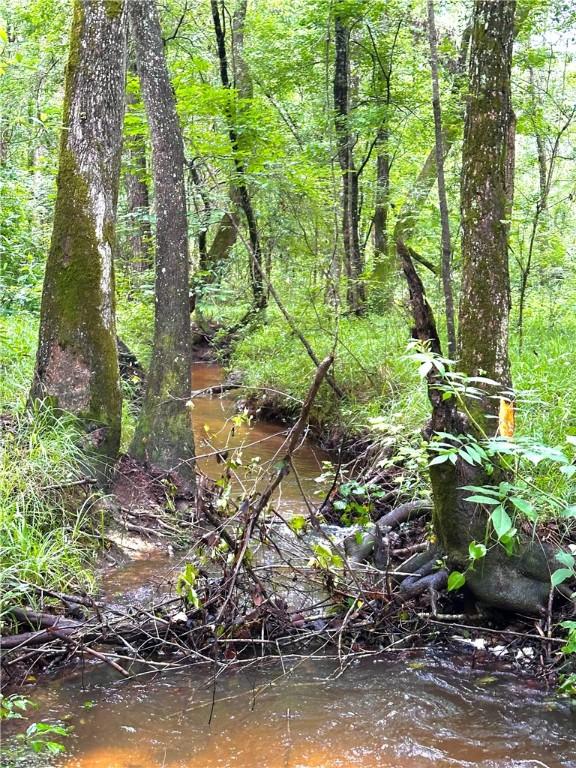 802 County Road 50, Tuskegee, AL 36083 - photo 13