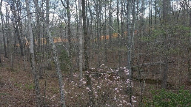 0 Lee Road 260, Opelika, AL 36804 - photo 6