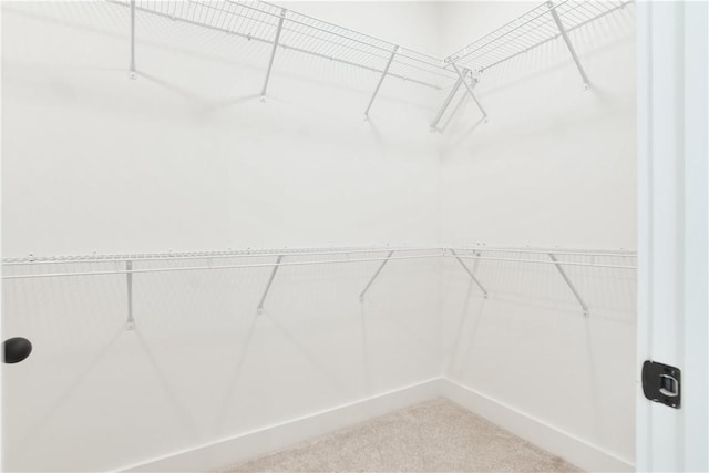 0309 Northgate Blvd, Auburn, AL 36830 - walk in closet with carpet