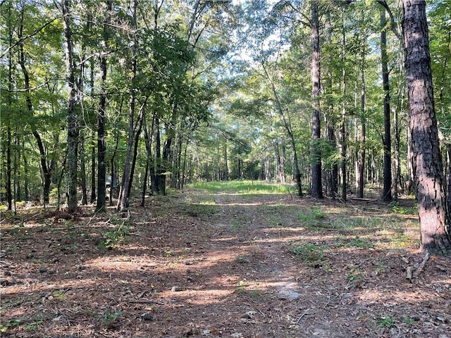 view of local wilderness