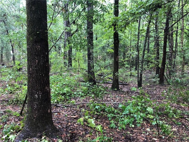 Listing photo 3 for LOT8 Lee Road 39, Beauregard AL 36804