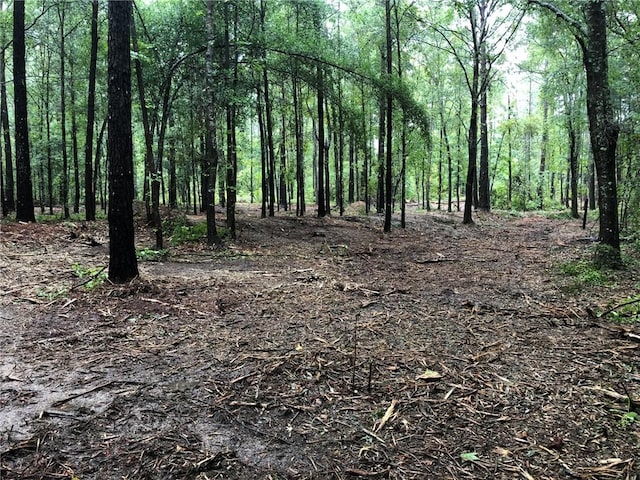 Listing photo 2 for LOT8 Lee Road 39, Beauregard AL 36804