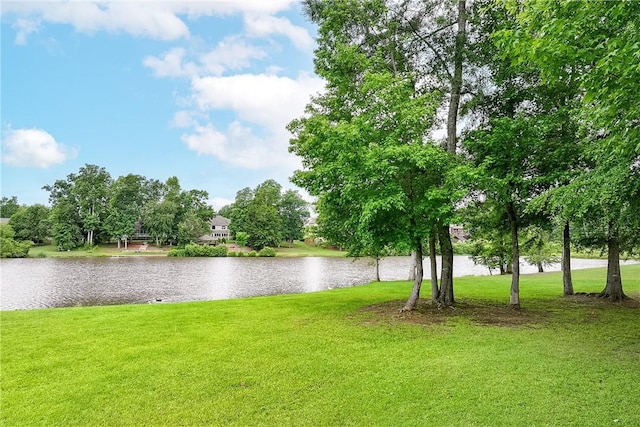 2131 Preserve Dr, Auburn, AL 36879 - water view