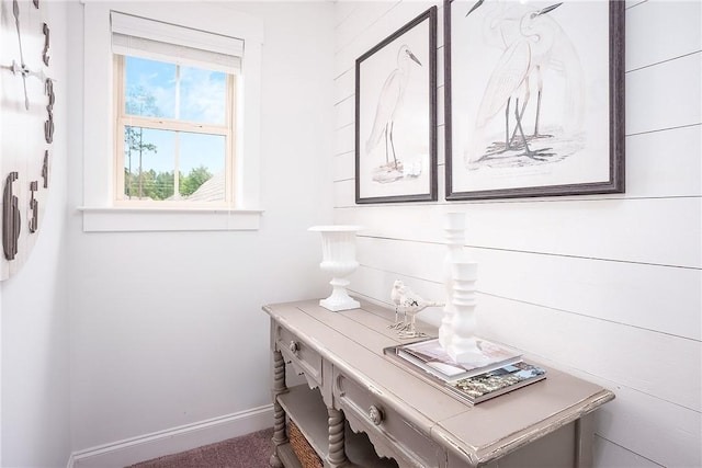 2131 Preserve Dr, Auburn, AL 36879 - detailed view of baseboards