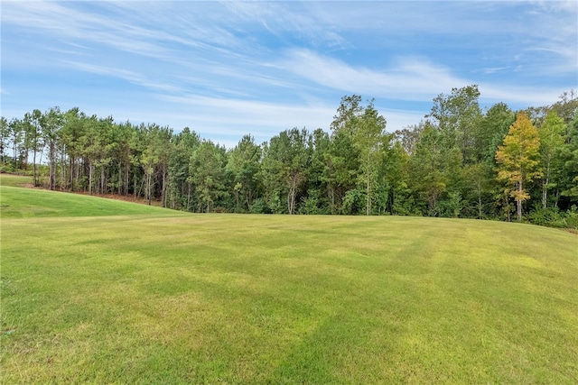 view of yard featuring a forest view