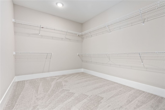 walk in closet featuring carpet floors