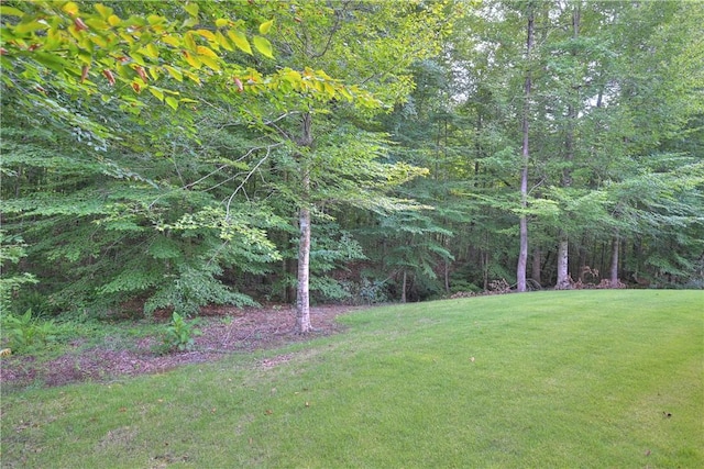 view of yard featuring a forest view