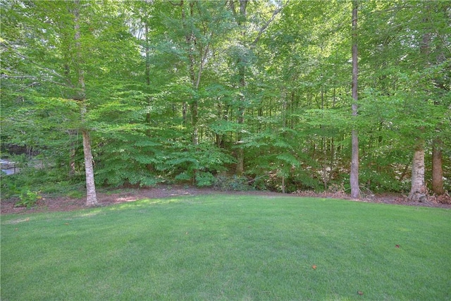 view of yard featuring a forest view