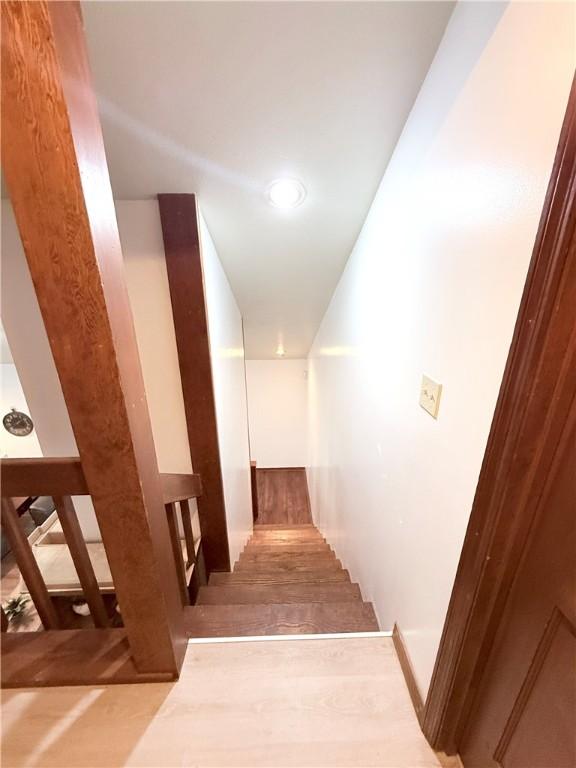 204 Carol Ann Dr, Opp, AL 36467 - photo 23