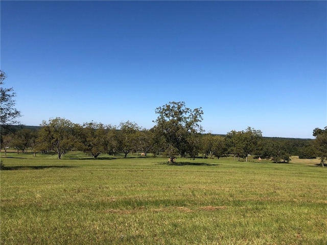 LOT2 Lee Road 0114, Beauregard, AL 36804 - photo 4