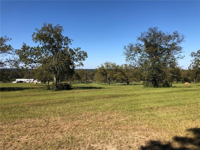 Listing photo 3 for LOT2 Lee Road 0114, Beauregard AL 36804