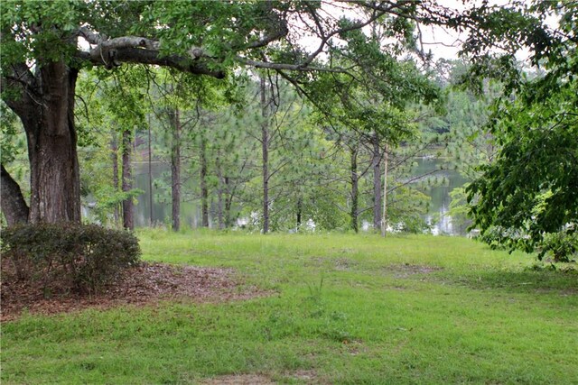 295 Lee Road 43, Beauregard, AL 36804 - photo 19