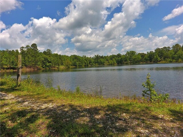 295 Lee Road 43, Beauregard, AL 36804 - photo 40