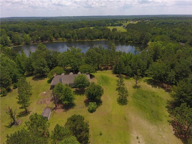 295 Lee Road 43, Beauregard, AL 36804 - photo 42