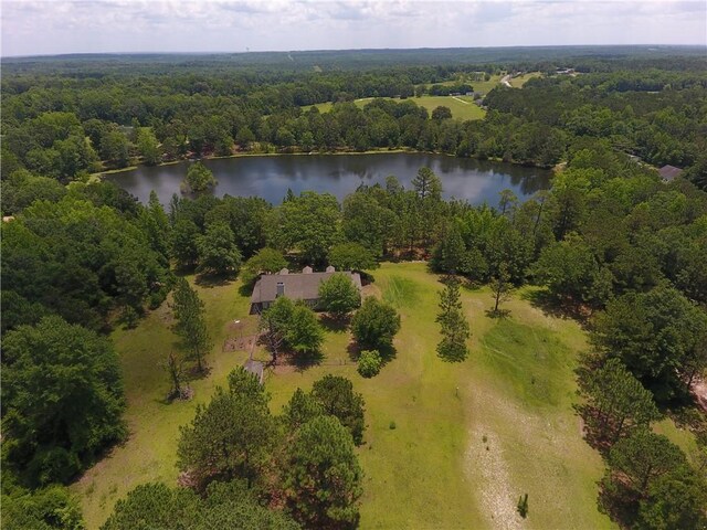 295 Lee Road 43, Beauregard, AL 36804 - photo 38
